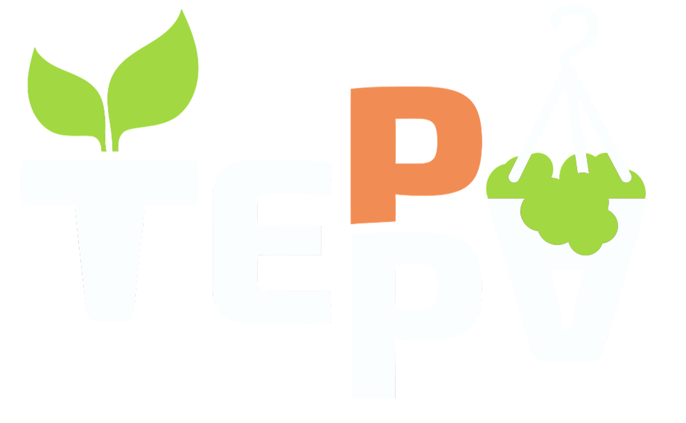 Логотип Терра